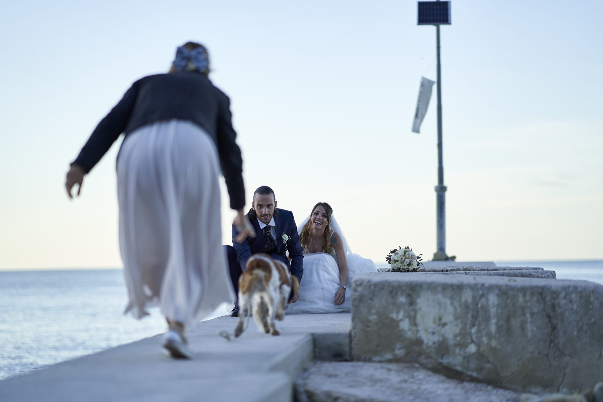 Dog sitter per matrimoni